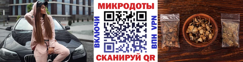 Псилоцибиновые грибы Psilocybe  Верхоянск 